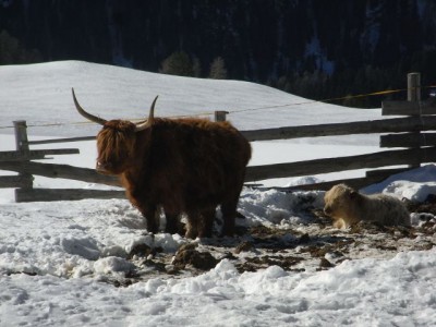 16.01.Sella Joch 018.jpg